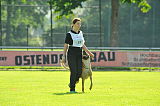 Ash vom Streitwald