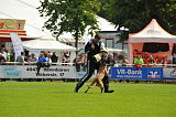 Nitro vom Drachenherz