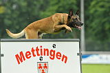 Nitro vom Drachenherz