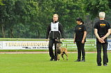Nitro vom Drachenherz
