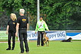 Abby von der Mecklenburger Rüpeln