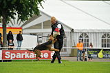 U. Gromit vom Roten Milan