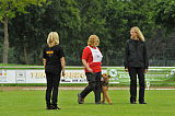 U. Gromit vom Roten Milan