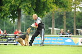 Wookiee Chewbacca von der Laubenhaid