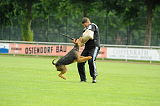 Wookiee Chewbacca von der Laubenhaid