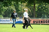 Kara Mia vom Lindelbrunn