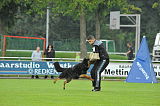 Enzo vom Bergischen Löwen