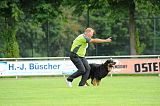 Enzo vom Bergischen Löwen