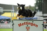 Enzo vom Bergischen Löwen