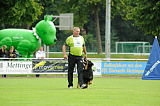Enzo vom Bergischen Löwen