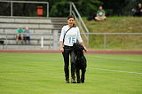 Arthos vom Beisetal