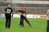 Gipsy vom Steinteich