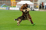Fero vom Steinteich