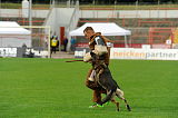 Fero vom Steinteich