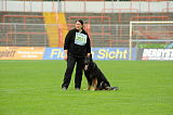 Jenky von der Schiffslache