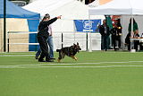 Aro vom Hunde-Hager