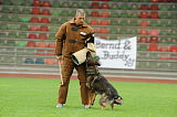 Aro vom Hunde-Hager