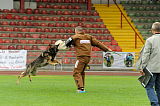 Aro vom Hunde-Hager