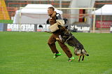 Aro vom Hunde-Hager