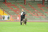 Aro vom Hunde-Hager