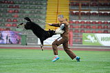 Pancho vom Marksbachtal