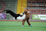 Pancho vom Marksbachtal