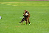 Bea vom Great Digger
