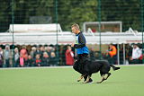 Ajax vom Königsberger Hof