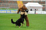 Piccenini's Blade