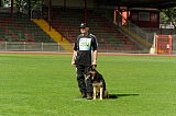 Gun vom Dreisbachtal