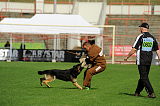 Gun vom Dreisbachtal