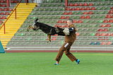 Göran vom Ortenberg