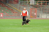Bobby vom Haus Badawi