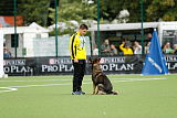Ares vom alten Grenzhof