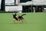 Fenris