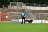 Cliff vom Neuzeller Brunnen