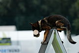 Chicco vom Weinbergblick