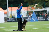 Chicco vom Weinbergblick