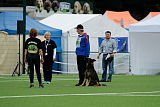 Chicco vom Weinbergblick