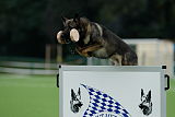 Amigo von Sitara