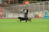 Matti von der Traubeneiche