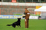Bandit vom Lengener-Meer