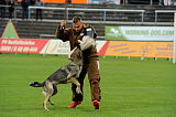 Kato von Haus Targa