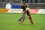 Kato von Haus Targa