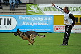 Horax vom Wolfsheim