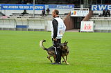 Horax vom Wolfsheim