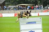Horax vom Wolfsheim