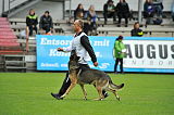 Horax vom Wolfsheim