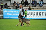 Horax vom Wolfsheim