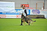Horax vom Wolfsheim